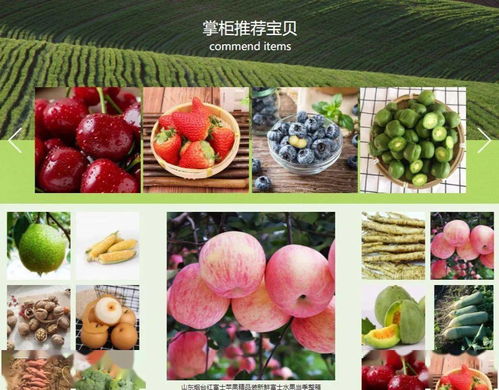 萊陽特色農(nóng)產(chǎn)品購買指南 認(rèn)準(zhǔn)優(yōu)質(zhì)零售渠道