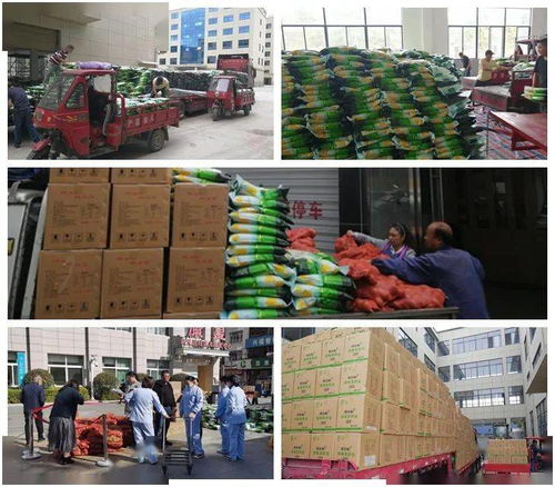 慶元9天高效派送253噸農(nóng)產(chǎn)品，東西部消費(fèi)扶貧任務(wù)圓滿完成
