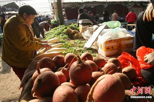食用農產品價格微幅上揚，雞蛋漲幅達2.2%引關注
